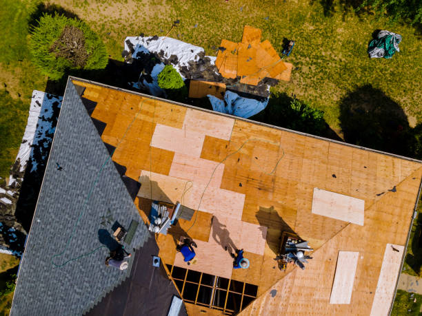 Best Roof Gutter Cleaning  in Taft, FL