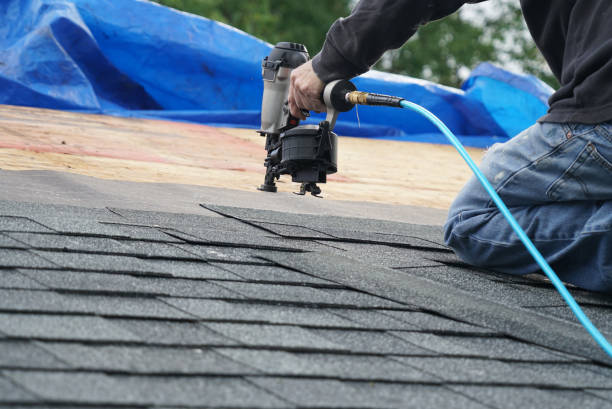 Best Roof Gutter Cleaning  in Taft, FL